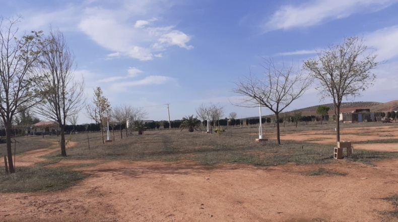 Ciudad Real - Вальдепеньяс - 16377m2