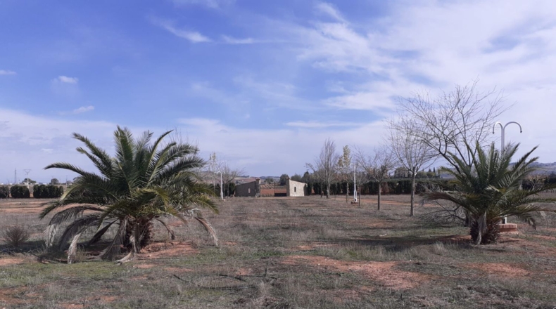 Ciudad Real - Вальдепеньяс - 16377m2
