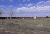Terreny no urbanitzable en venda a Valdepeñas ref.: TR370104 foto