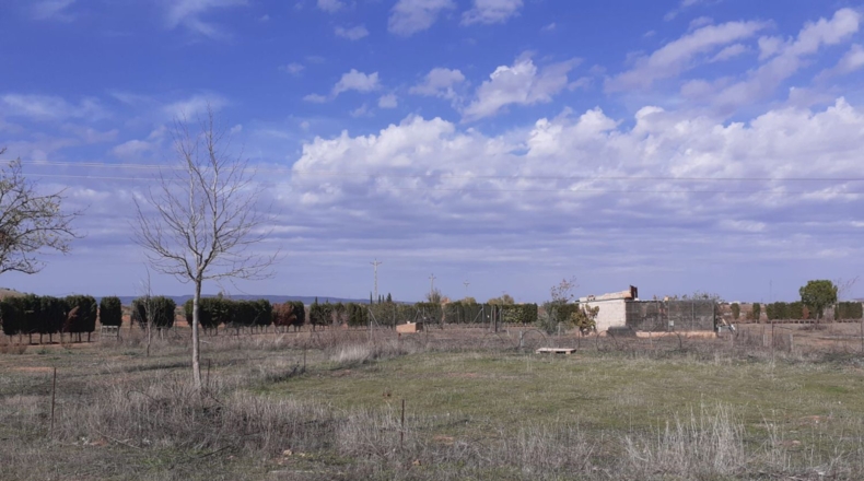 Ciudad Real - Вальдепеньяс - 16377m2