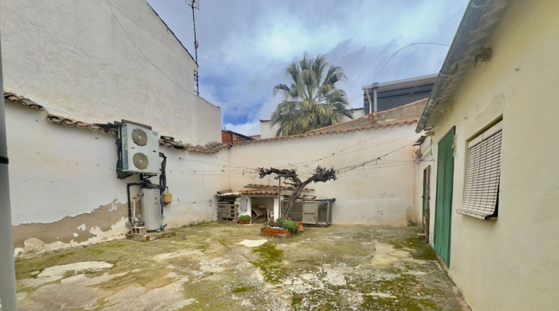 Ciudad Real - Valdepeñas - 251m2