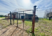 Rural estate for sale in Torrenueva ref: TR393420 photo