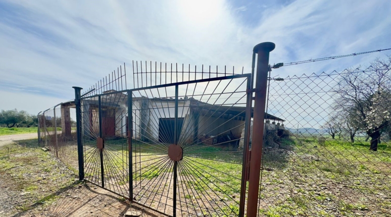 Ciudad Real - Torrenueva - 471319m2