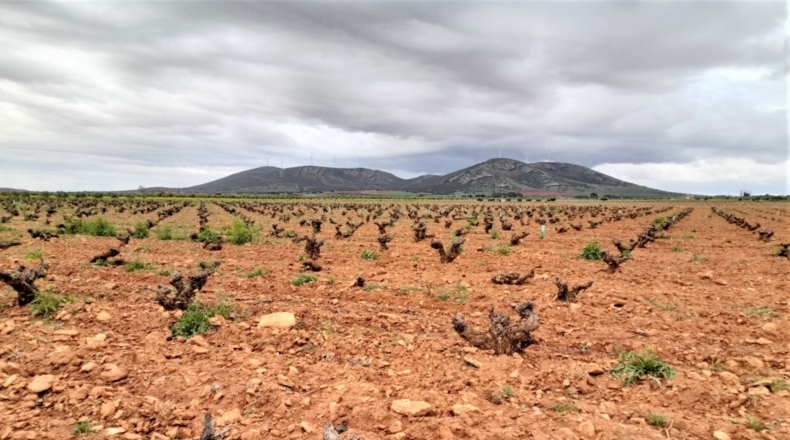 Ciudad Real - Valdepeñas - 70000m2