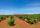 Finca rústica en venda a Valdepeñas ref.: TR76949 foto