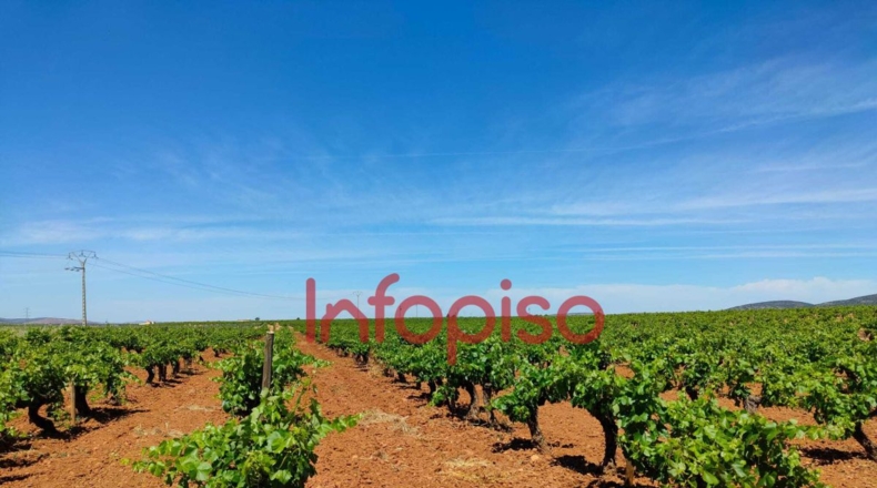 Ciudad Real - Villanueva de los Infantes - 172818m2