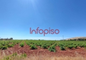 Finca rústica en venda a Valdepeñas ref.: TR76949 foto