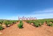 Finca rústica en venda a Valdepeñas ref.: TR76949 foto