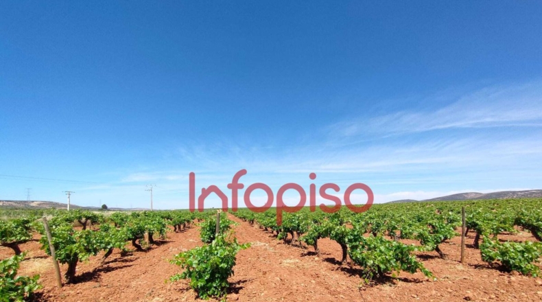 Ciudad Real - Villanueva de los Infantes - 172818m2