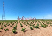 Finca rústica en venda a Valdepeñas ref.: TR76949 foto