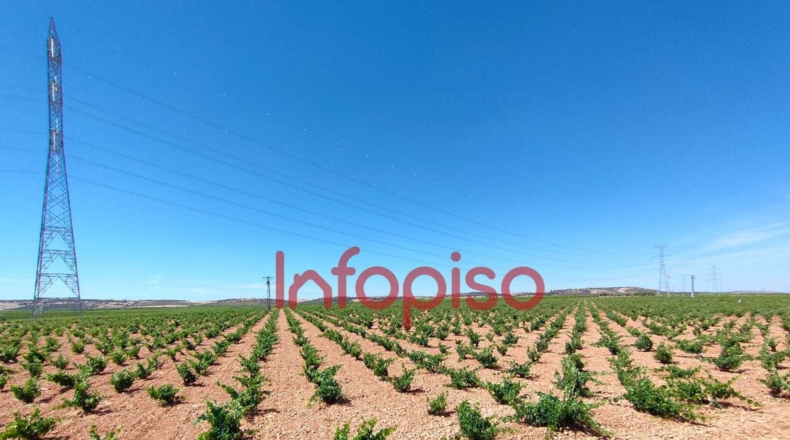 Ciudad Real - Villanueva de los Infantes - 172818m2
