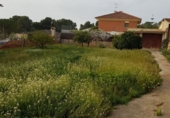 Terreny no urbanitzable en venda a el Vendrell ref.: TR21945 foto