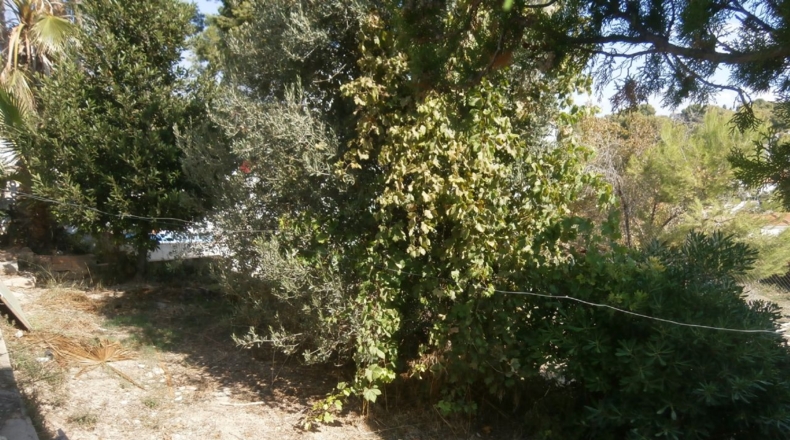 Tarragona - el Vendrell - 430m2