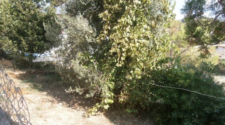 Tarragona - el Vendrell - 430m2