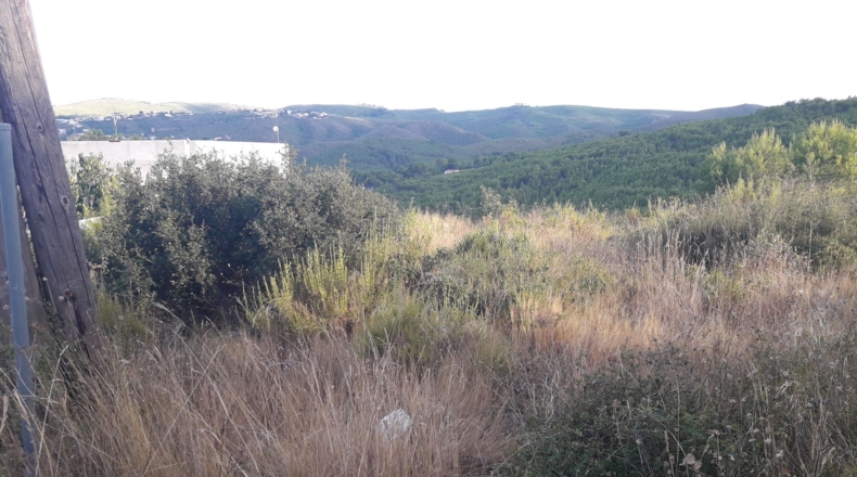 Tarragona - la Bisbal del Penedès - 924m2