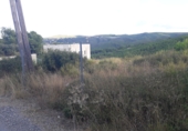 Terreny no urbanitzable en venda a la Bisbal del Penedès ref.: TR13026 foto