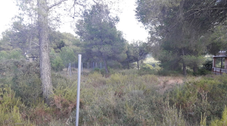 Tarragona - la Bisbal del Penedès - 1193m2