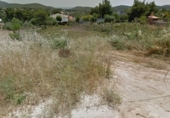 Parcela urbanizable en venta en la Joncosa del Montmell ref: TR21947 foto