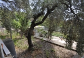 Chalet independiente con terreno en venta en Calafell ref: TR42596 foto