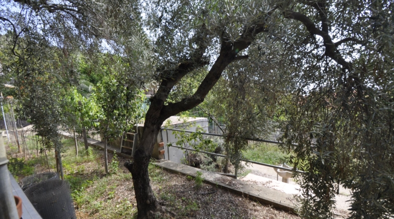 Tarragona - Calafell - 861m2