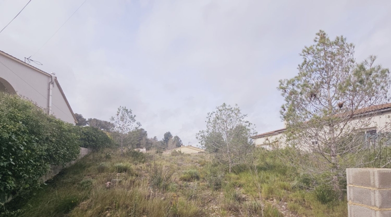 Tarragona - La Bisbal del Penedès - 614m2