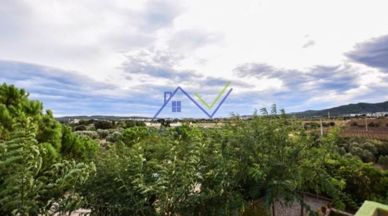 Tarragona - Santa Oliva - 35000m2