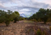 Rural estate for sale in Santa Oliva ref: TR69289 photo