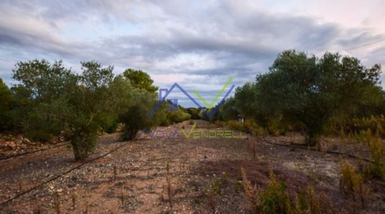Tarragona - Santa Oliva - 35000m2