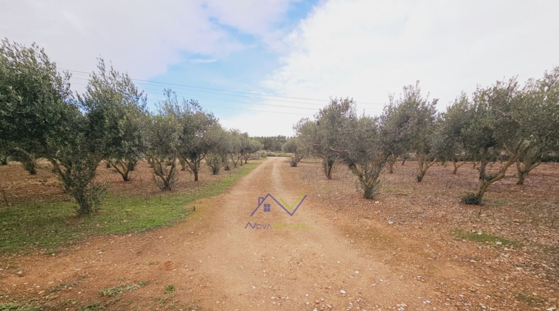 Tarragona - Santa Oliva - 13500m2