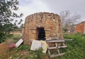 Finca rústica en venta en Santa Oliva ref: TR181289 foto