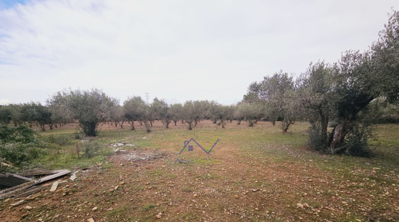 Tarragona - Santa Oliva - 13500m2