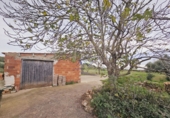 Finca rústica en venta en Santa Oliva ref: TR181289 foto