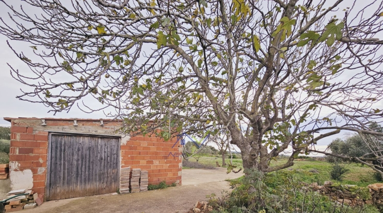 Tarragona - Santa Oliva - 13500m2