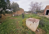 Finca rústica en venta en Santa Oliva ref: TR181289 foto