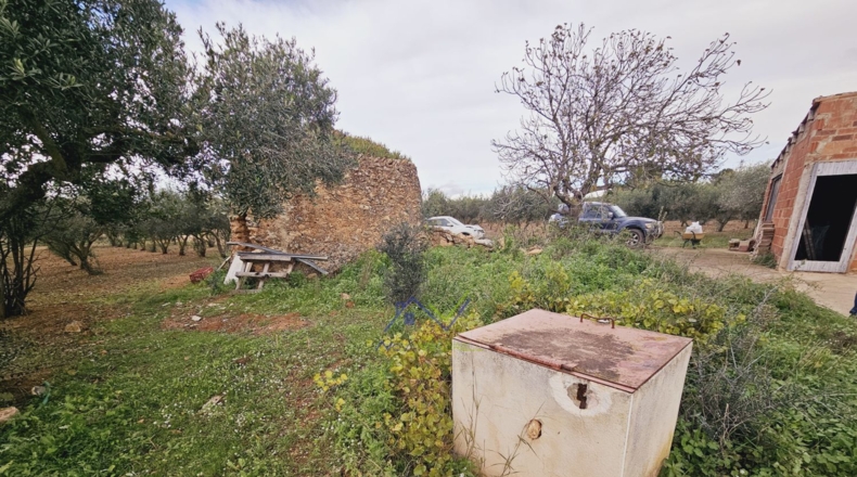Tarragona - Santa Oliva - 13500m2