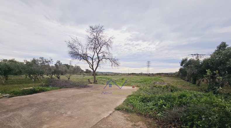 Tarragona - Santa Oliva - 13500m2