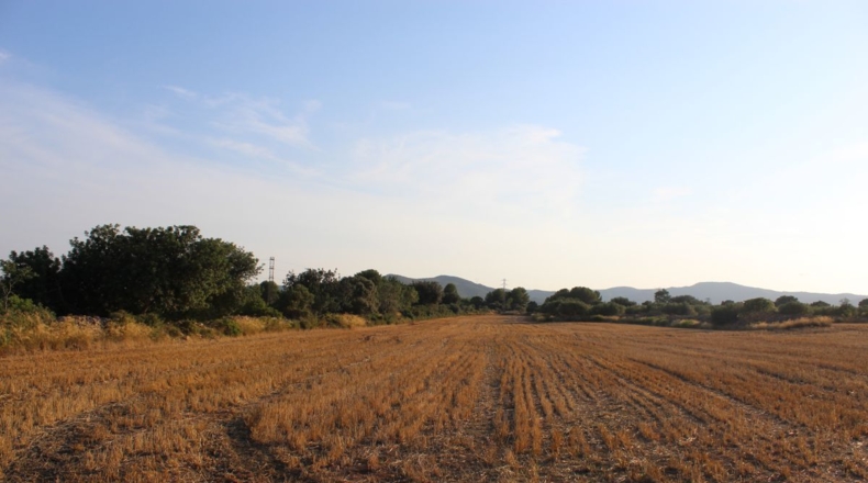 Tarragona - Banyeres del Penedès - 40000m2