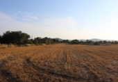 Terreny no urbanitzable en venda a Banyeres del Penedès ref.: TR73635 foto