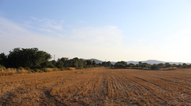 Tarragona - Banyeres del Penedès - 40000m2