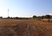 Terreny no urbanitzable en venda a Banyeres del Penedès ref.: TR73635 foto