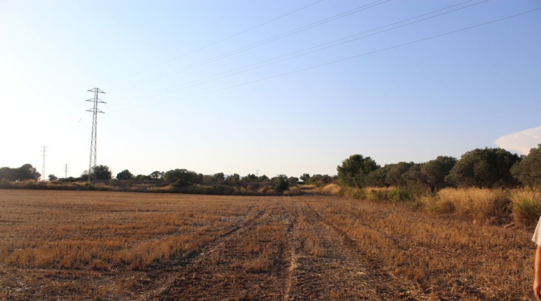 Tarragona - Banyeres del Penedès - 40000m2