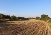 Terreny no urbanitzable en venda a Banyeres del Penedès ref.: TR73635 foto