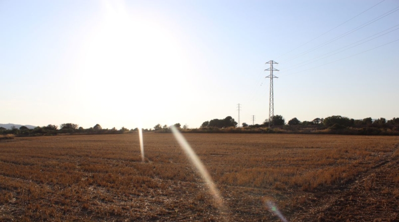 Tarragona - Banyeres del Penedès - 40000m2