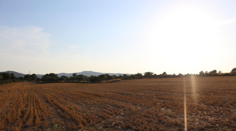 Tarragona - Banyeres del Penedès - 40000m2