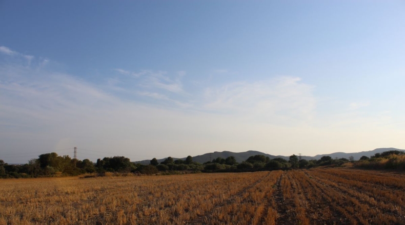 Tarragona - Banyeres del Penedès - 40000m2