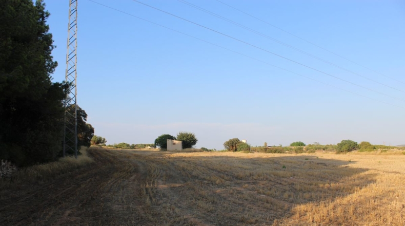 Tarragona - Banyeres del Penedès - 40000m2