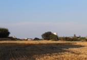 Terreny no urbanitzable en venda a Banyeres del Penedès ref.: TR73635 foto