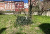 Sòl urbà en venda a Oviedo ref.: TR252269 foto
