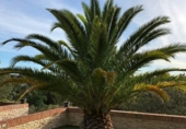 Xalet independent amb terreny en venda a la España, Sevilla la Nueva, ref.: TR94888 foto
