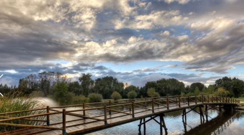 Comunidad de Madrid - Villaviciosa de Odón - 2050m2